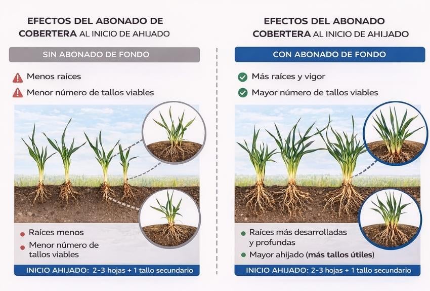 abonado cobertera diferencias entre poner y no poner abonado de fondo