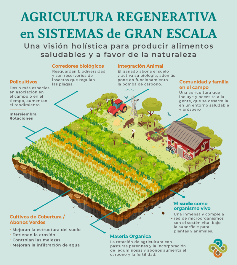 practicas-en-agricultura-regenerativa
