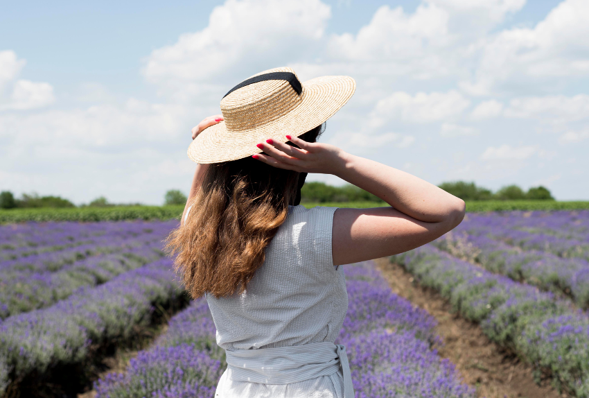 rentabilidad-cultivo-lavanda-1