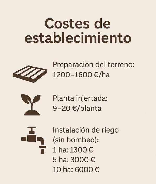 costes-explotacion-produccion-de-pistachos