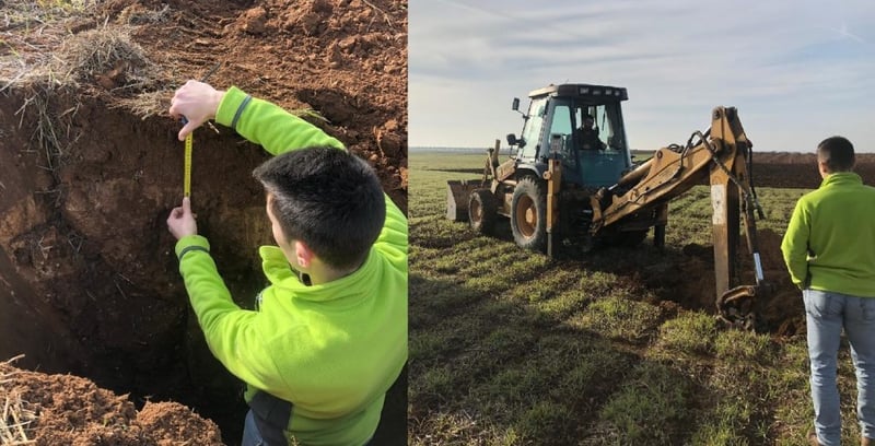 plantacion olivar superintensivo