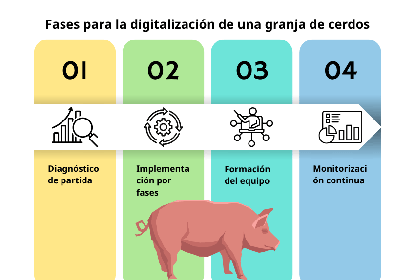 fases-digitalizacion-para-rentabilidad-granja-de-cerdos