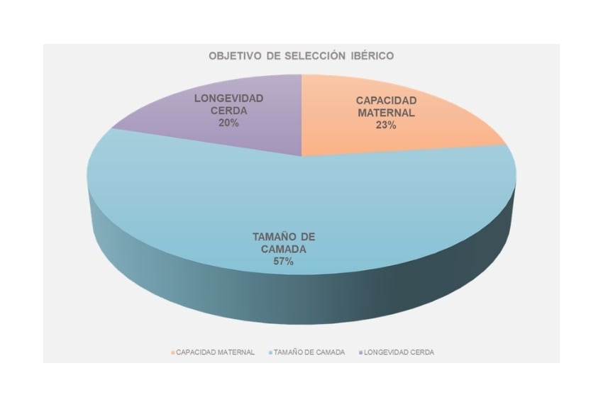 objetivo de selección de cerdo ibérico