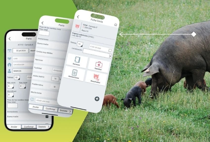 software porcino IA ISAGRI soluciones