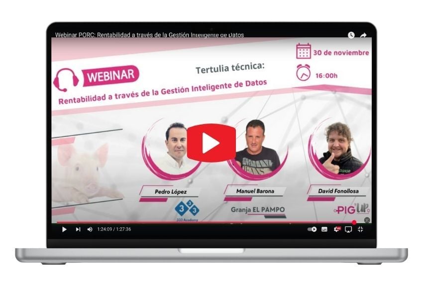 webinar-rentabilidad-granja-de-cerdos