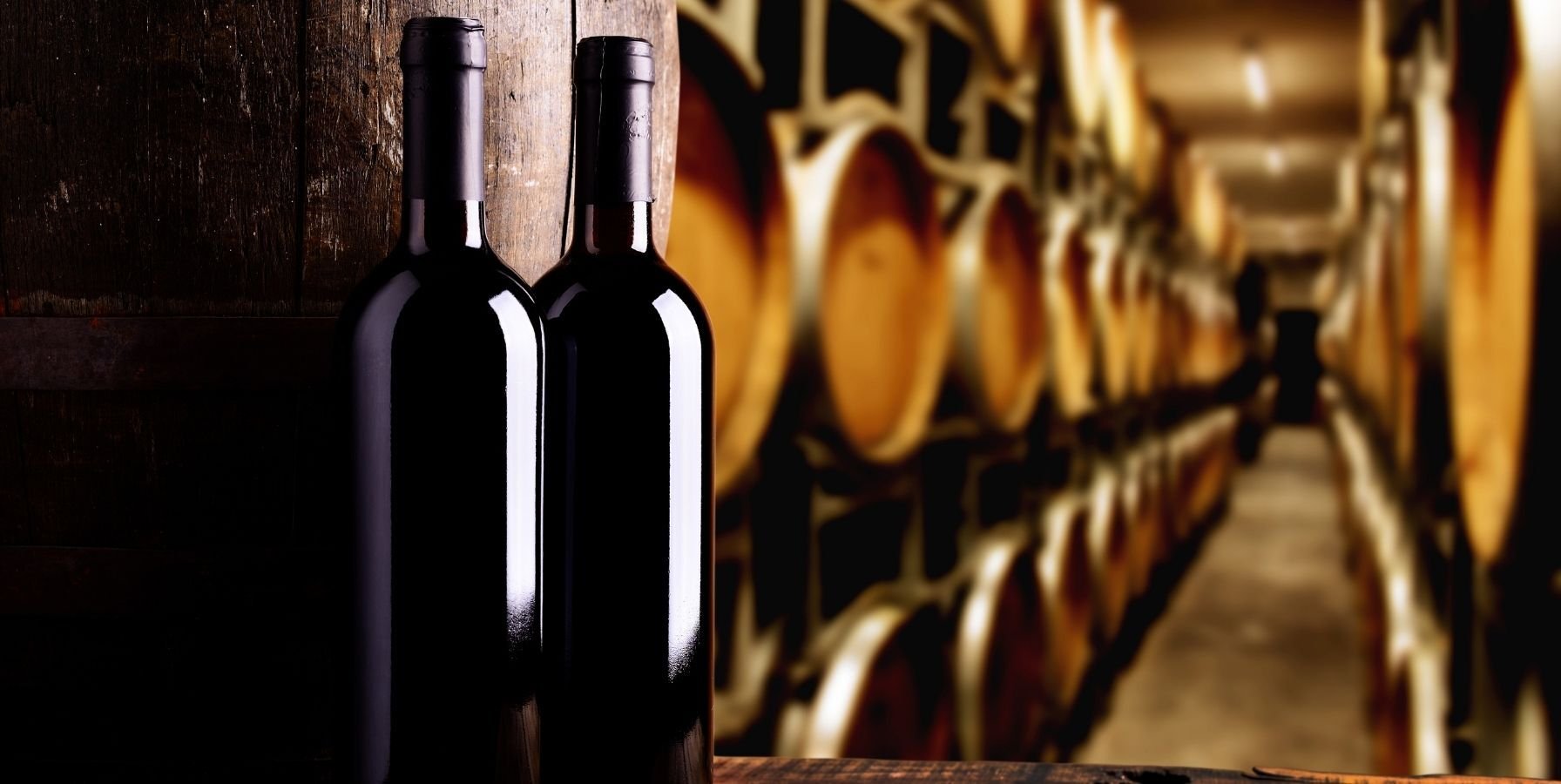 trazabilidad-bodegas