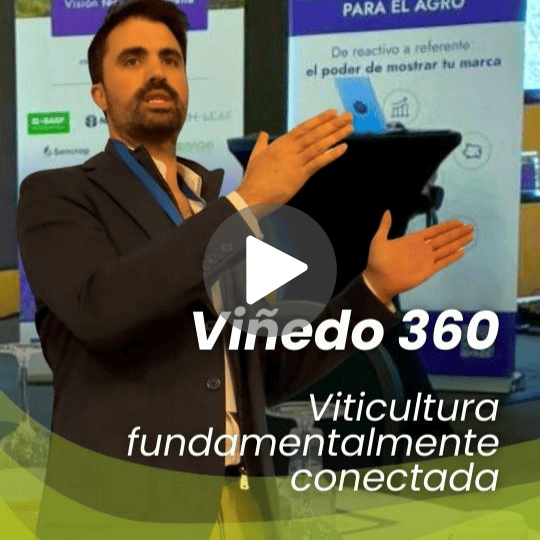 Diseño sin título (13)