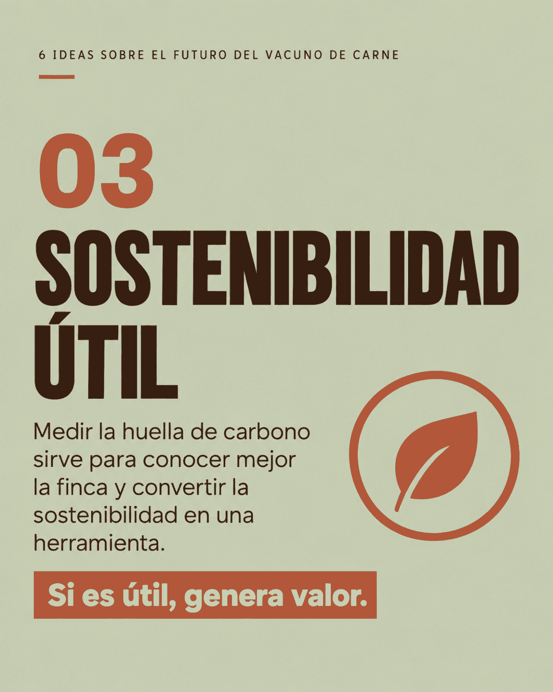 carrusel 6 claves vacuno (2)