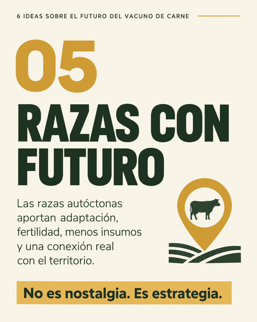 carrusel 6 claves vacuno (4)