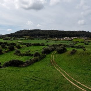 almudaina-smr