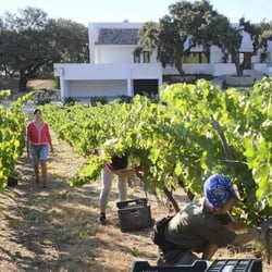 caso-exito-la-melonera