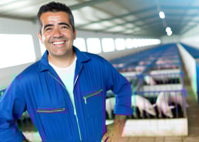 solución Isagri para mercado porcino