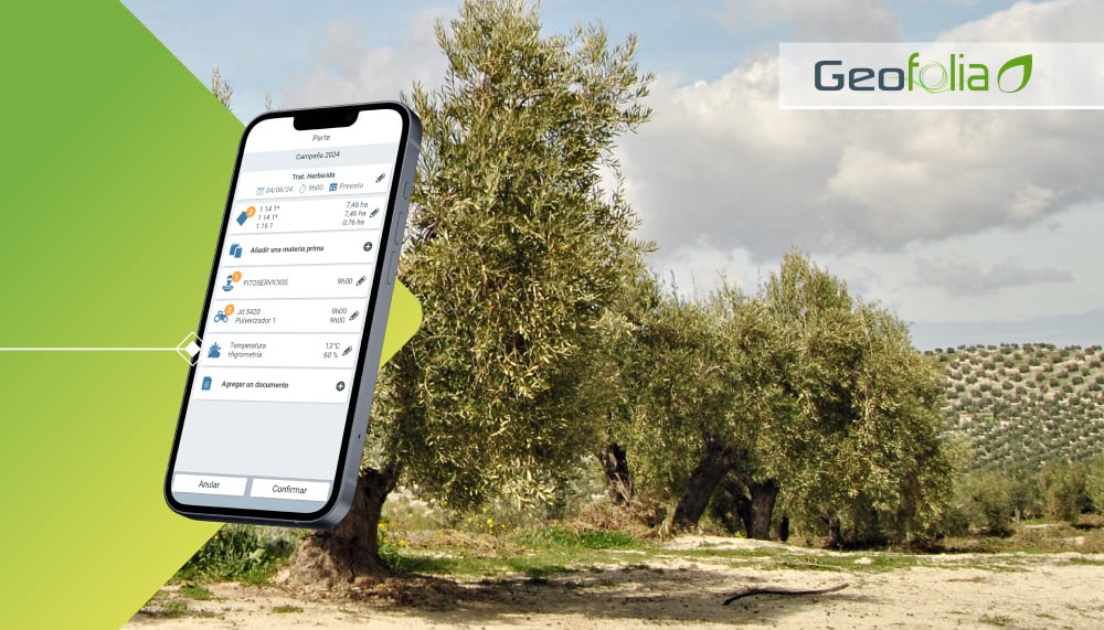6R-disseny-connexio-geofolia