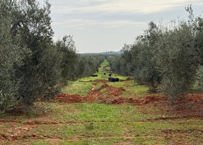 informe-meteorologico-agricola-desplazamiento-cuadrillas