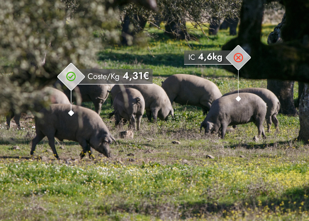 Control de los costes de producción con Pig'Up