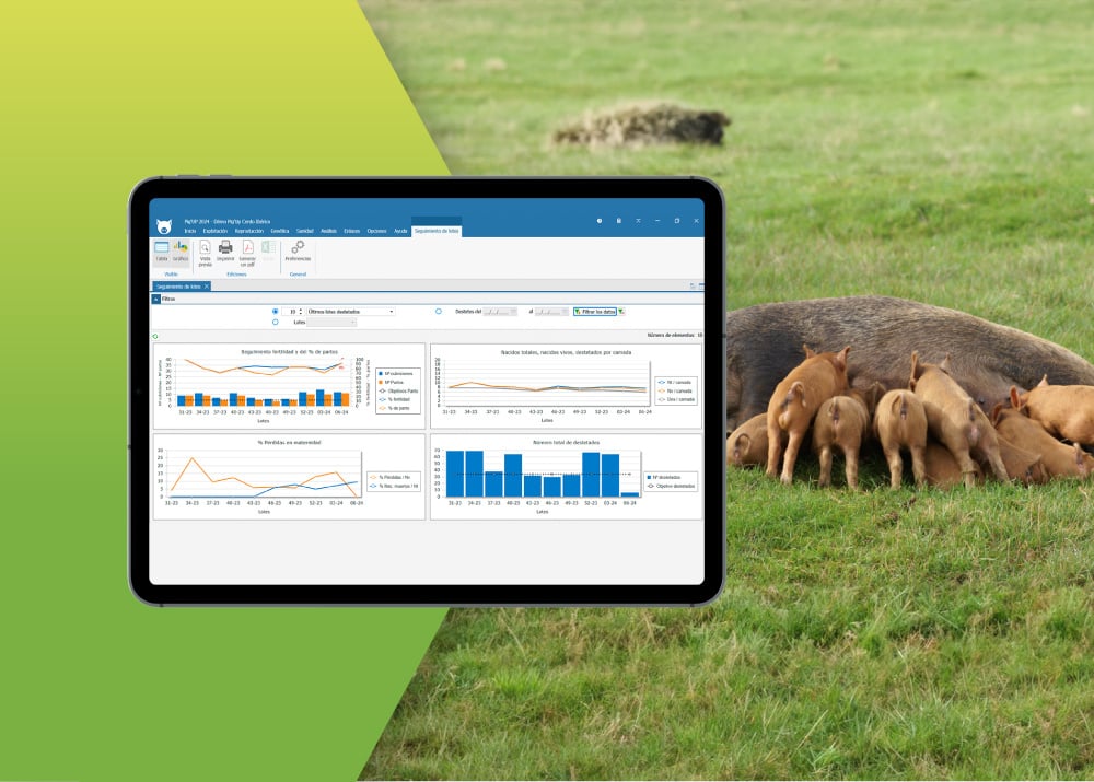 Mejor visualización y alertas con Pig'Up