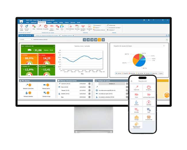 software de gestión porcina Pig'Up