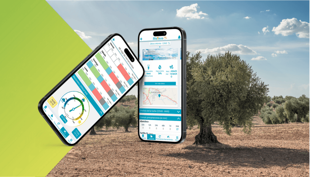 geofolia-organismo-conexion-con-meteus