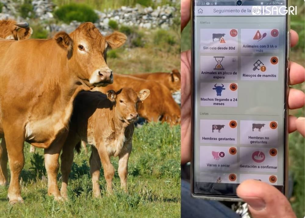 isagri-efact-gestion-agropecuaria-troupo