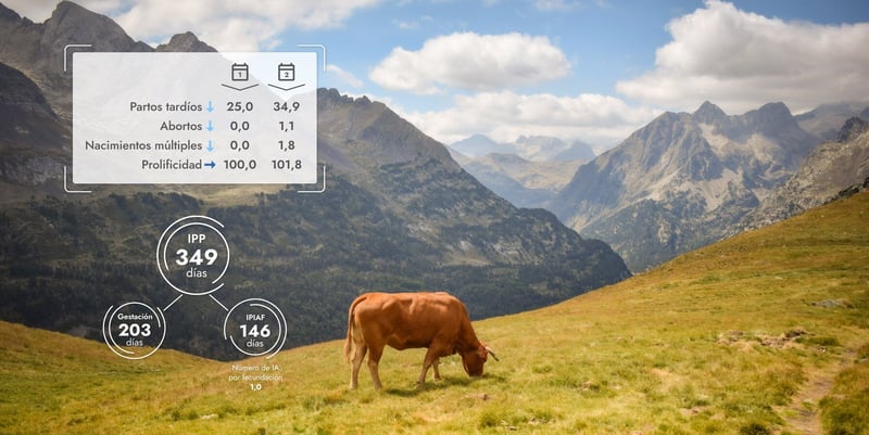 seguimiento del intervalo parto - parto con Troup'O