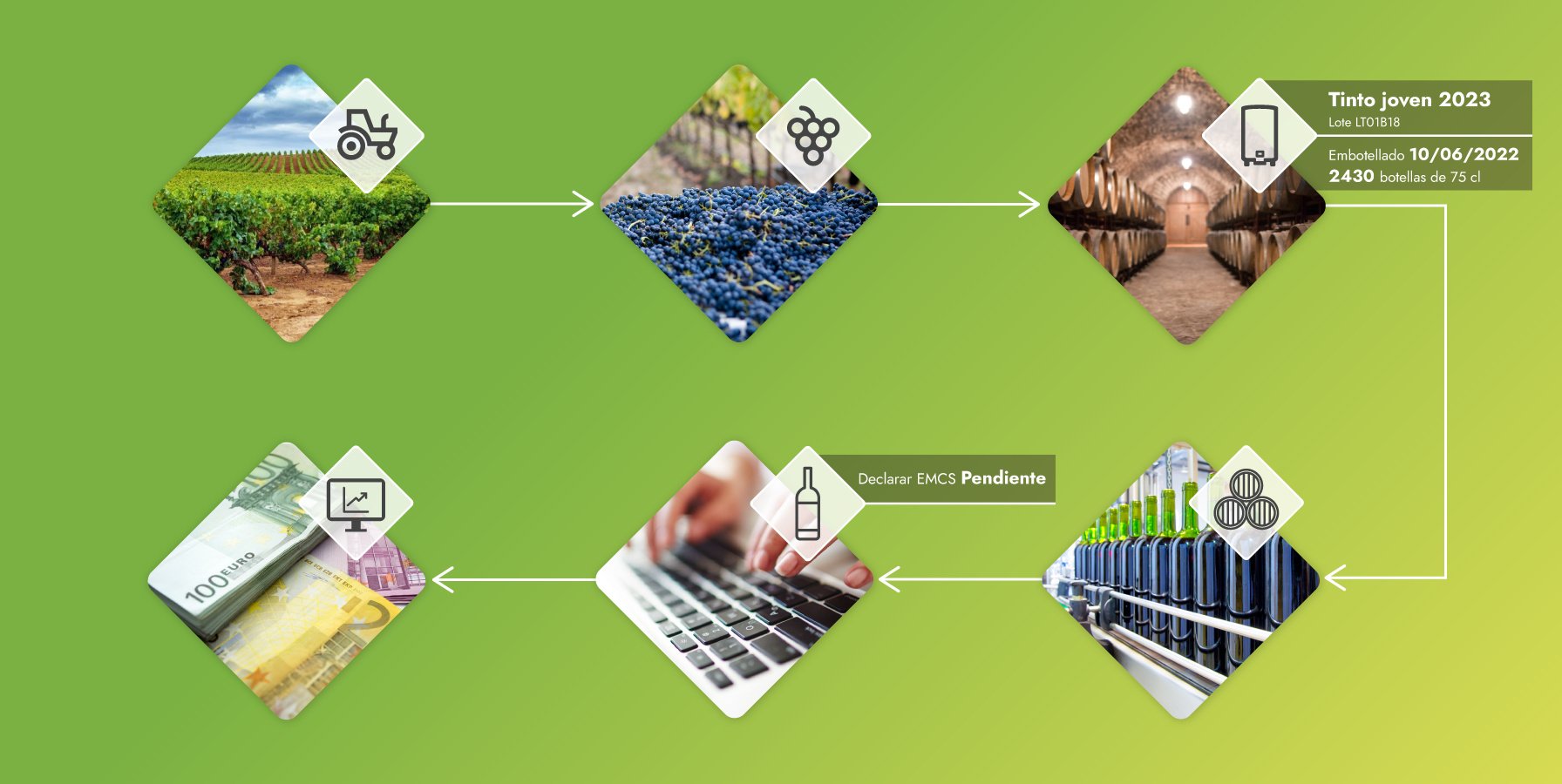 Trazabilidad con el software para bodegas Isagri