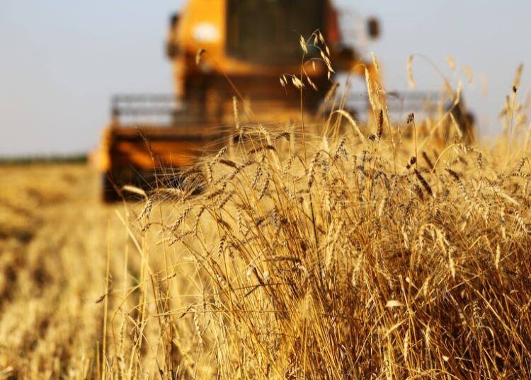 software-agricola-para-empresas-servicios-agricolas