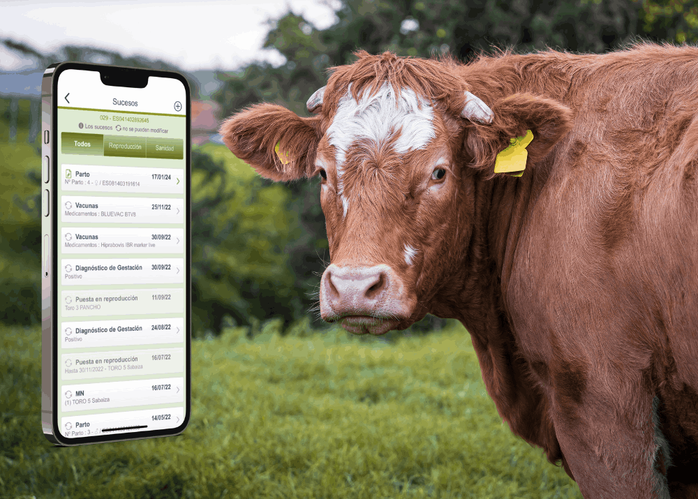 Consulta los sucesos de la vida de una vaca en Troup'O