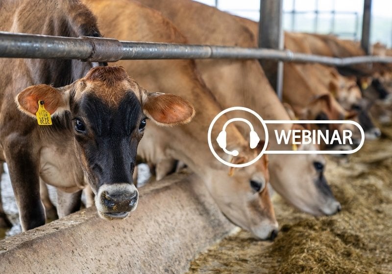 webinar-control-costes-ganaderia-con-troupo