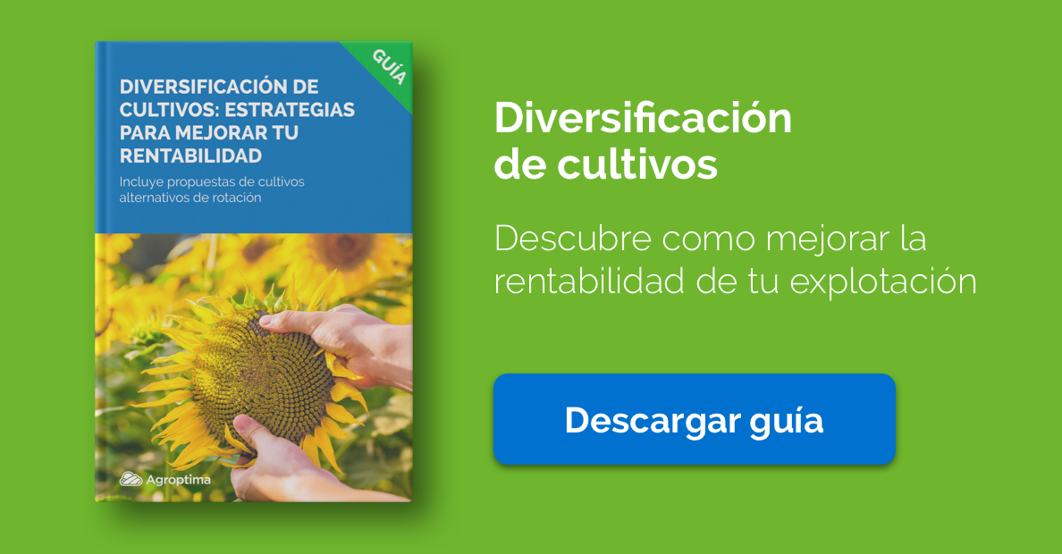 Mejora tu rentabilidad con la diversificación de cultivos