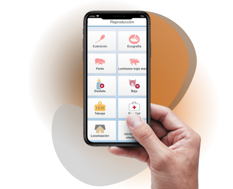 Isagri crea la APP de pig Up Ibérico para introducir y consultar datos desde el móvil