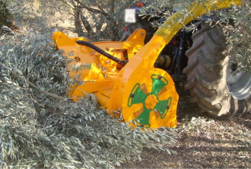 olivo-tradicional-a-ecologico-transicion-fertilizante