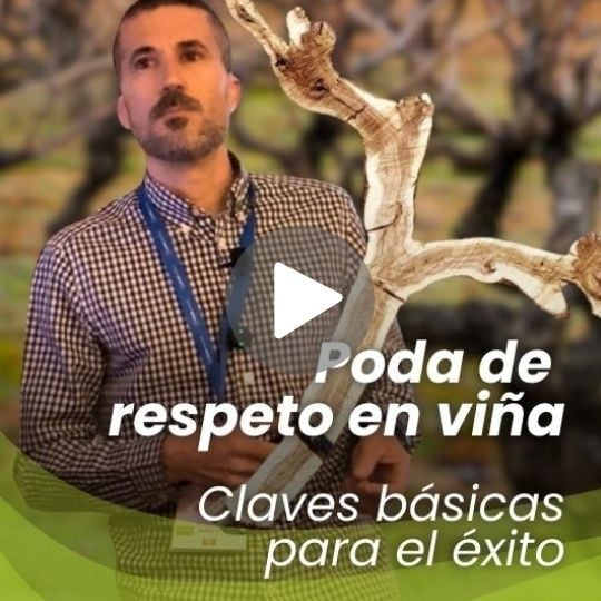 poda-respeto-viñedo-charla