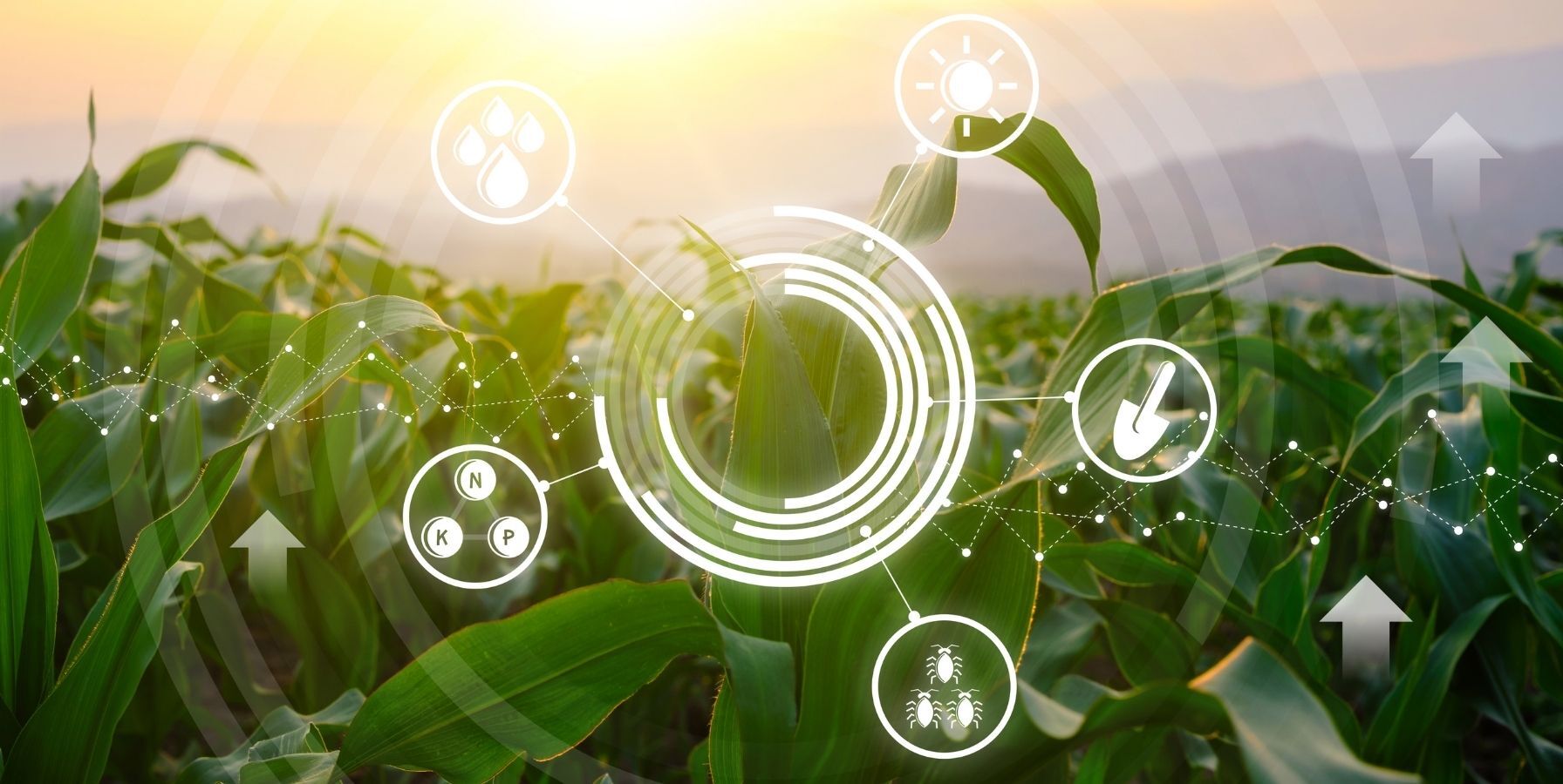 AgroTech España: la revolución tecnológica que está transformando el ...