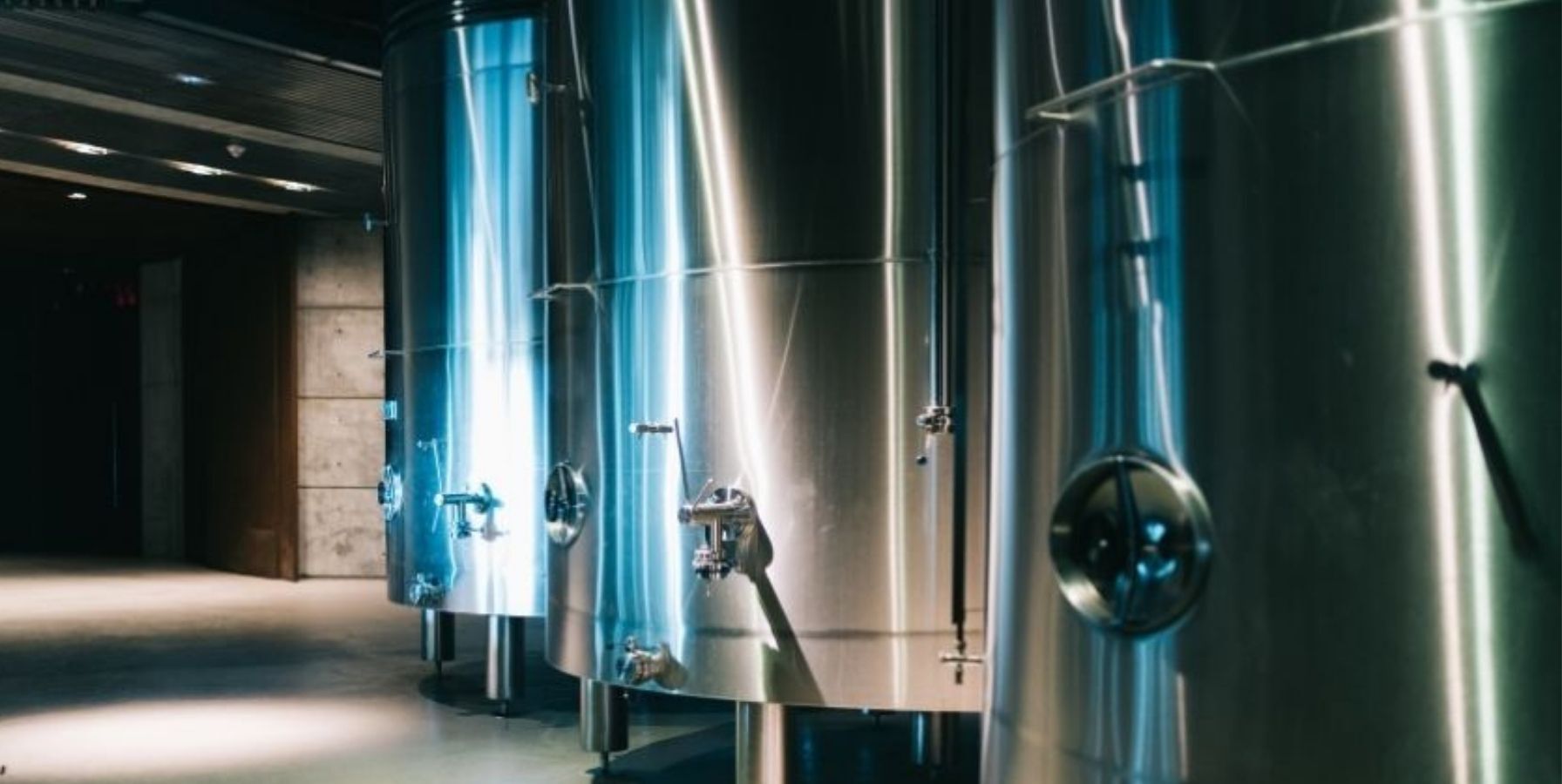 Errores críticos en la inspección de bodegas de vino